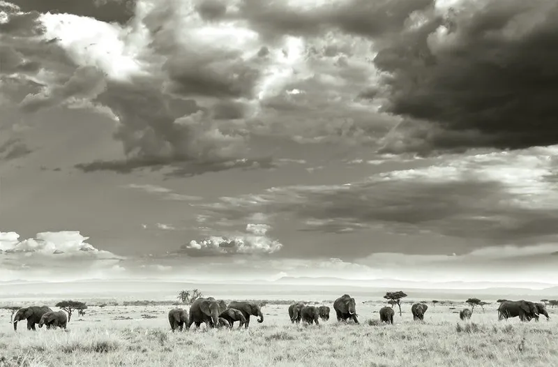 The Gathering - Image 2