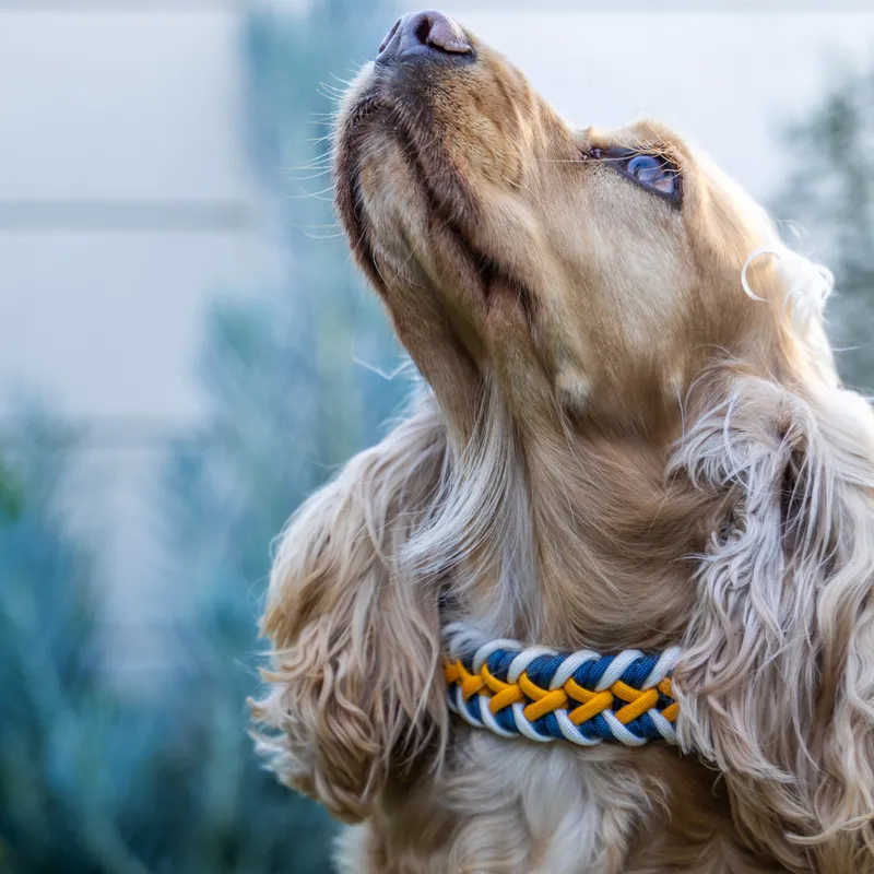 Captain SNOOT - Image 1