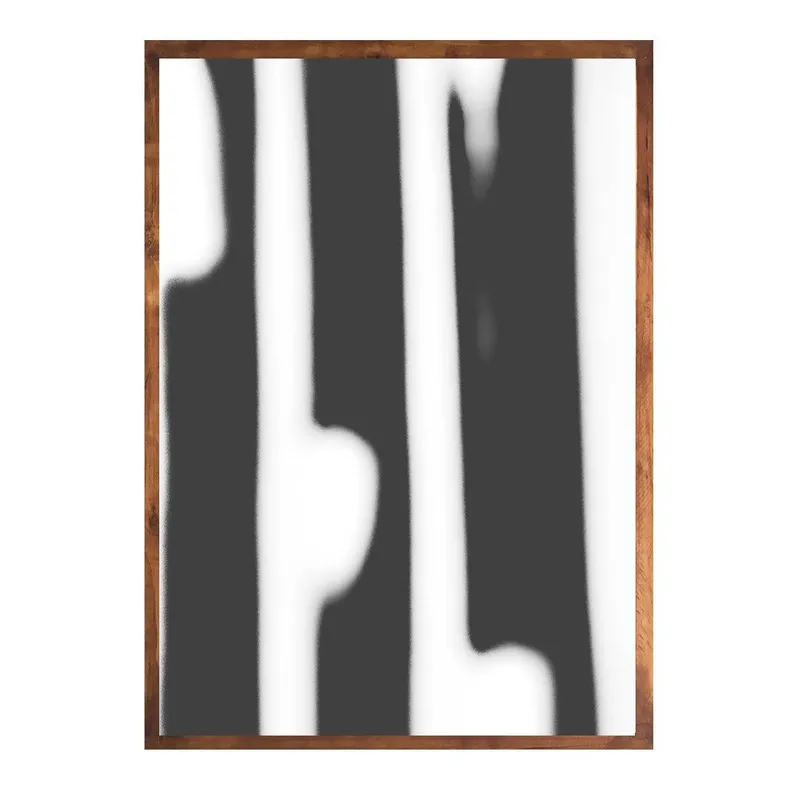 Porcupine quills - Image 1