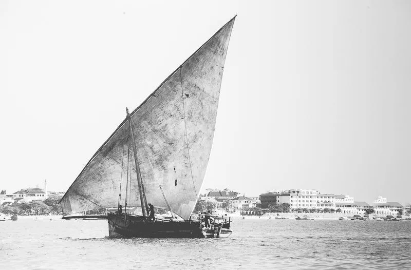 The Charcoal transporter