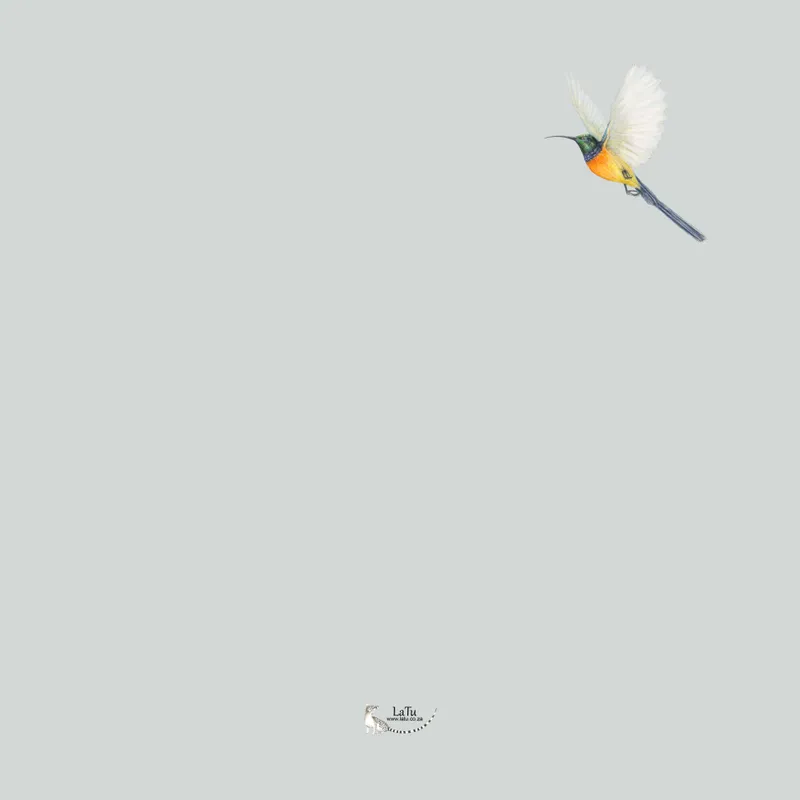 Velvet Scatter Cushion (50x50cm) - Pincushion - Image 2