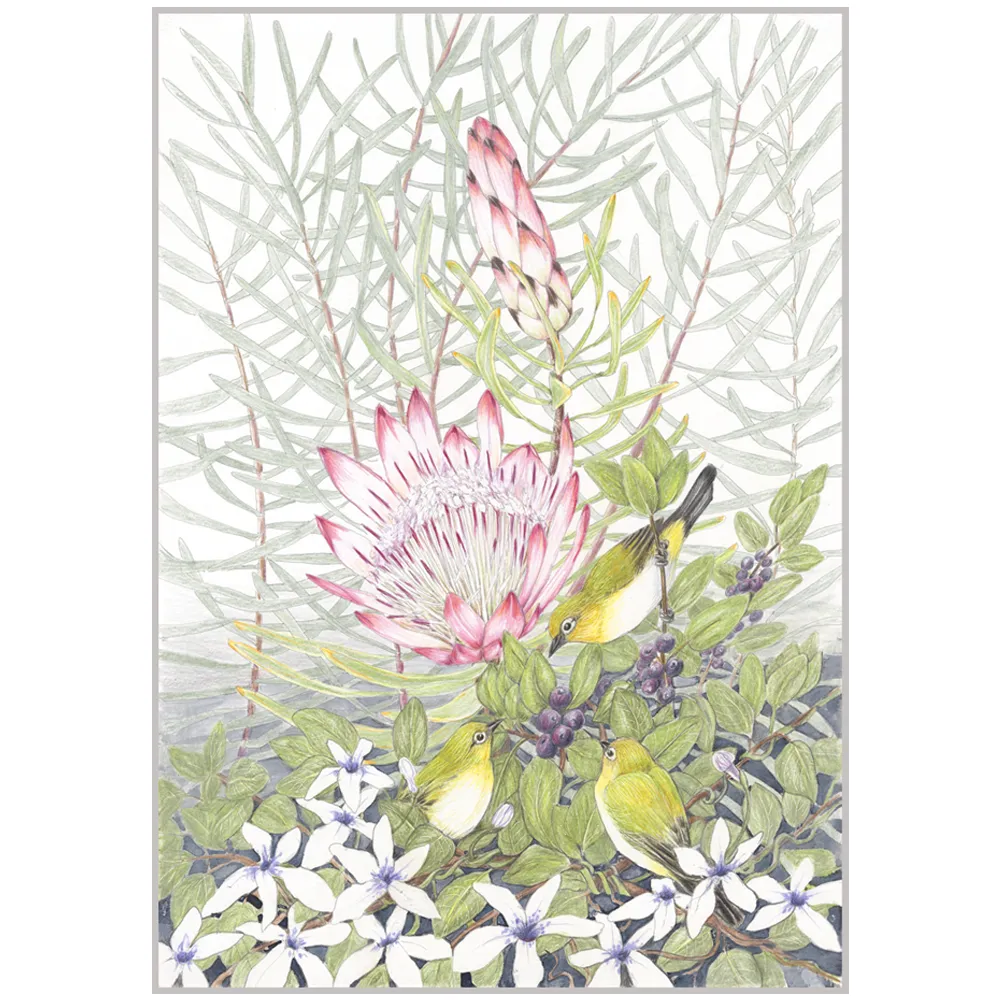 White eyes & sugarbush