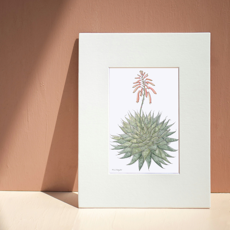 Fine Art print ~ A5