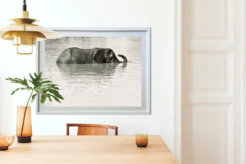 Serene Moment - Image 1