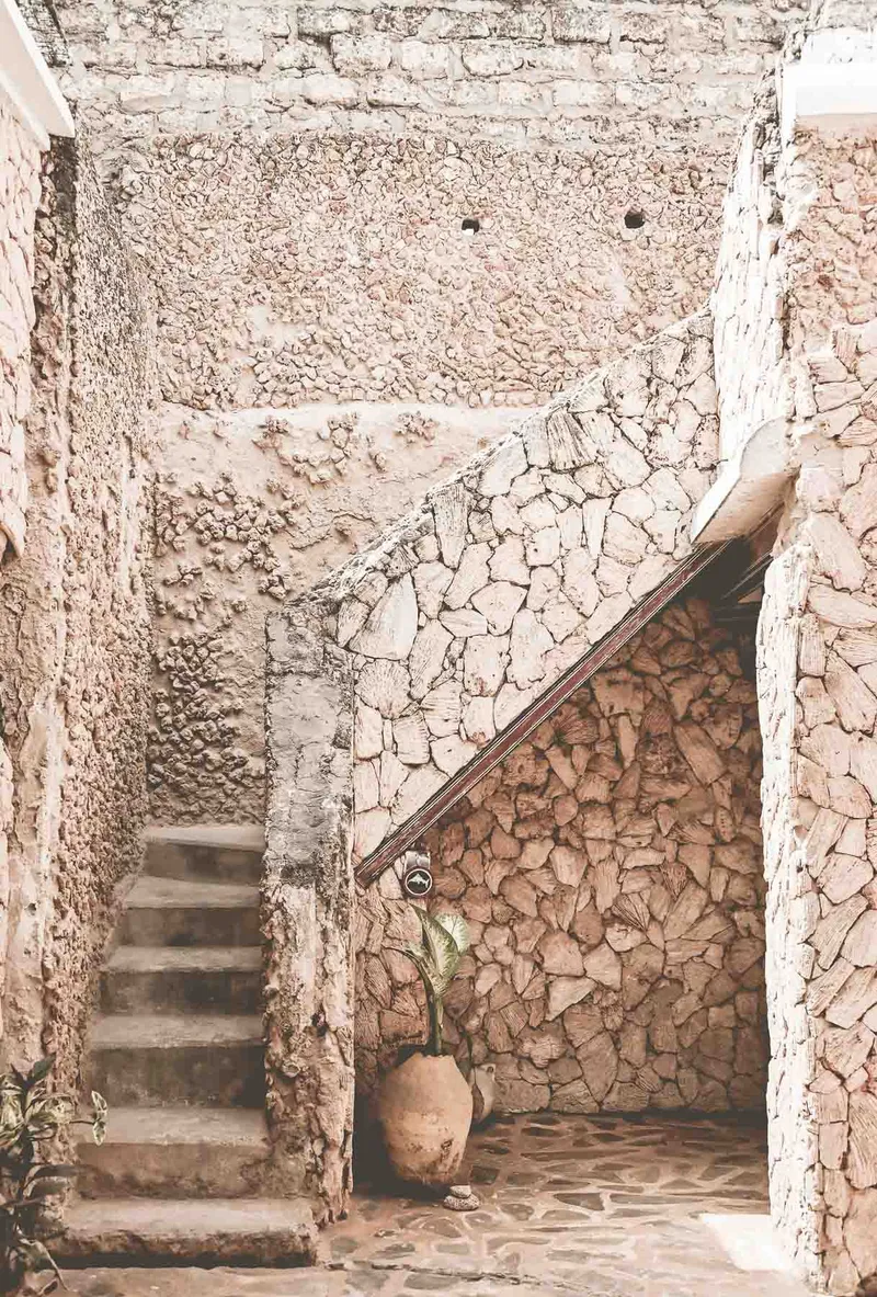 Coral Walls - Image 2