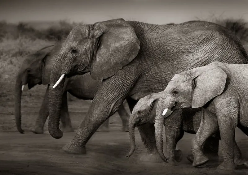 Walk together - Image 2