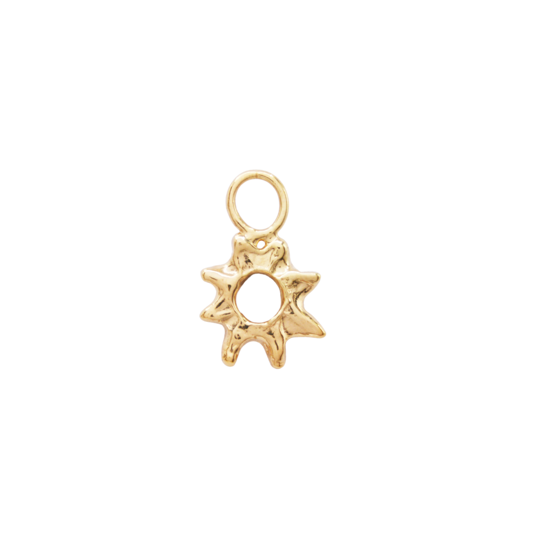 The Brightest Star Charm