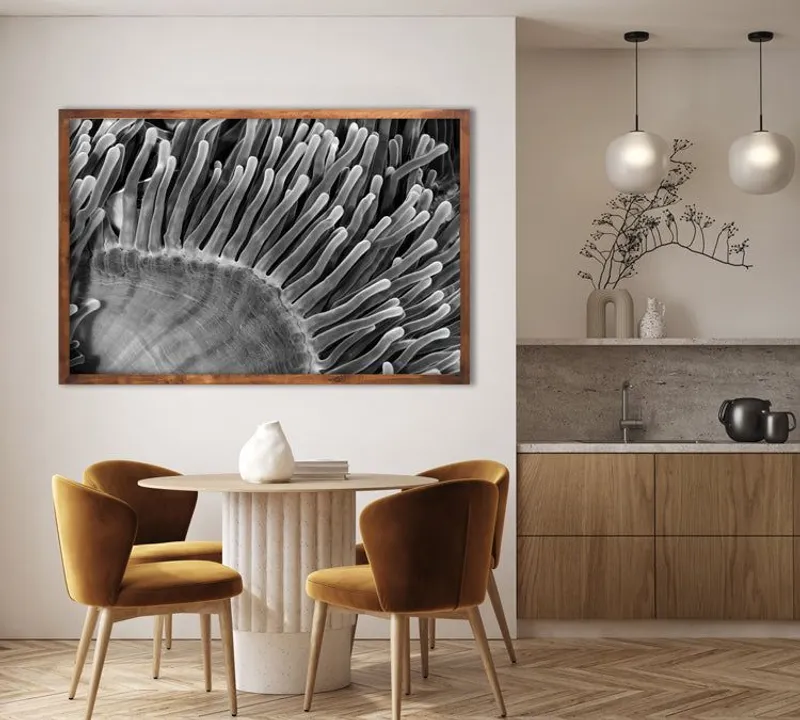 Water Plant - Image 1