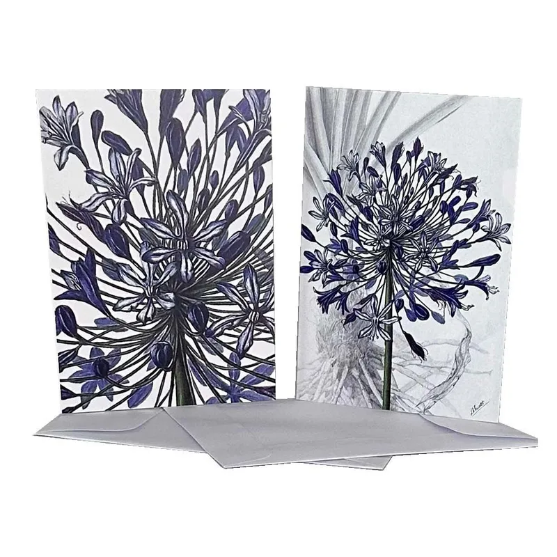 Gift Cards: Agapanthus Heads (Pack of 4) - Image 1