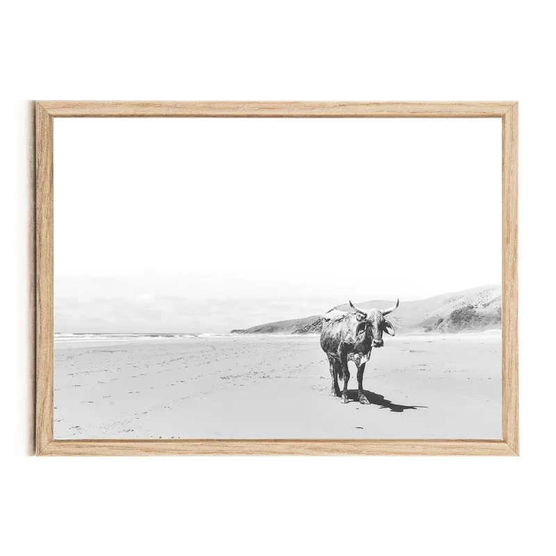 Lone Nguni - Image 2