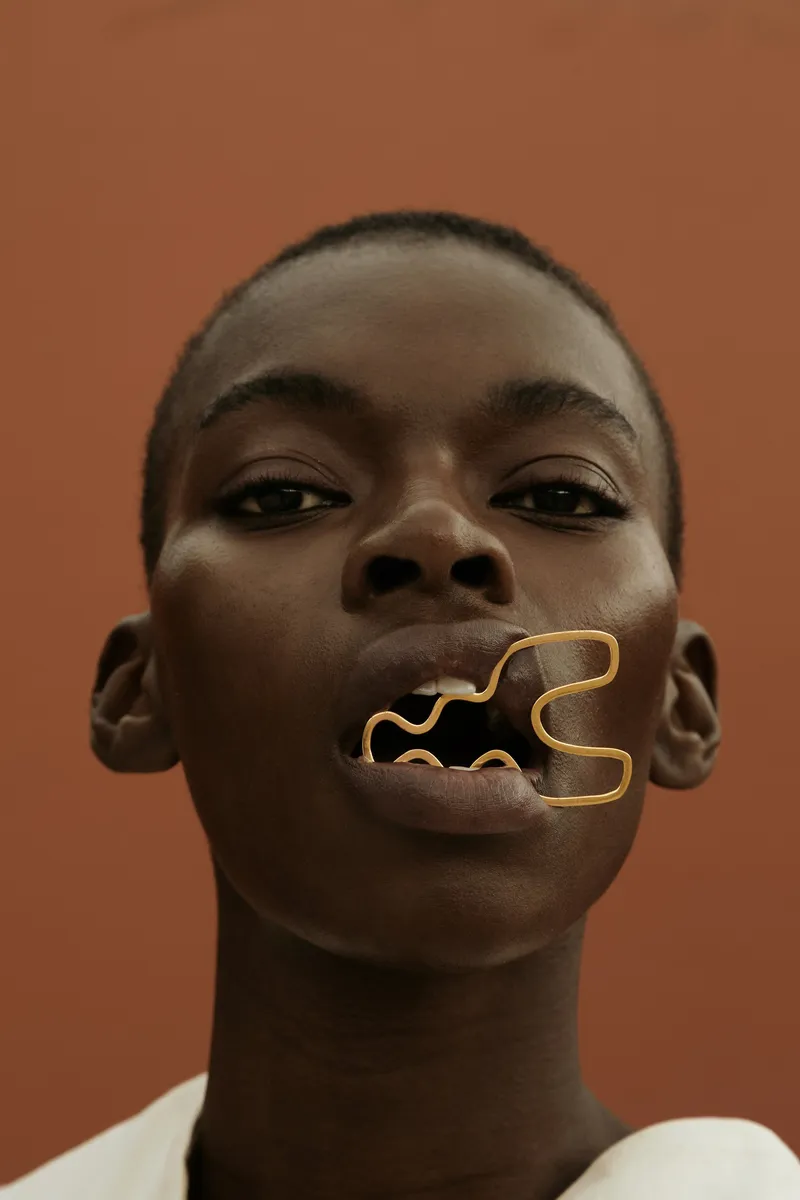 Linear Lover Sleeper - Image 1