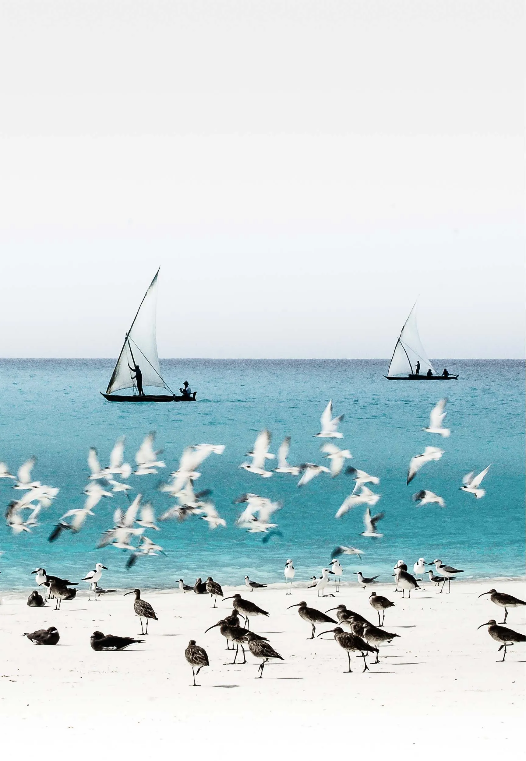 Hidden gems Canvas sale - Mnemba island 84x104cm