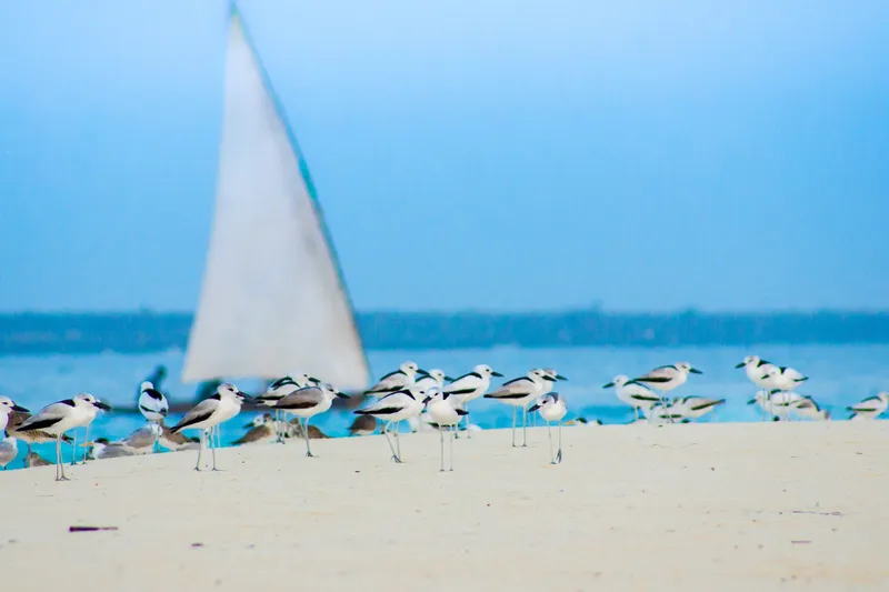 Passing by - Image 2