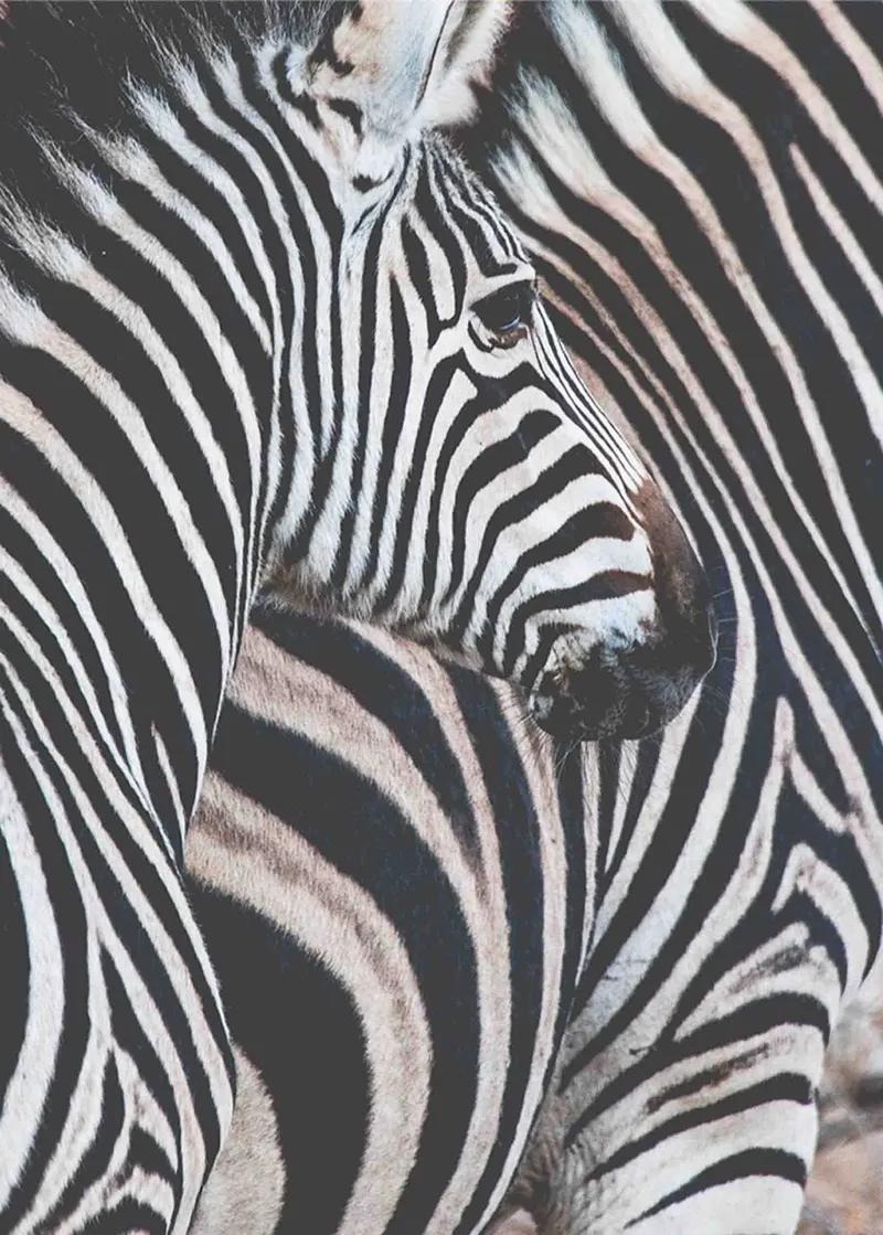 Looking back - Image 2