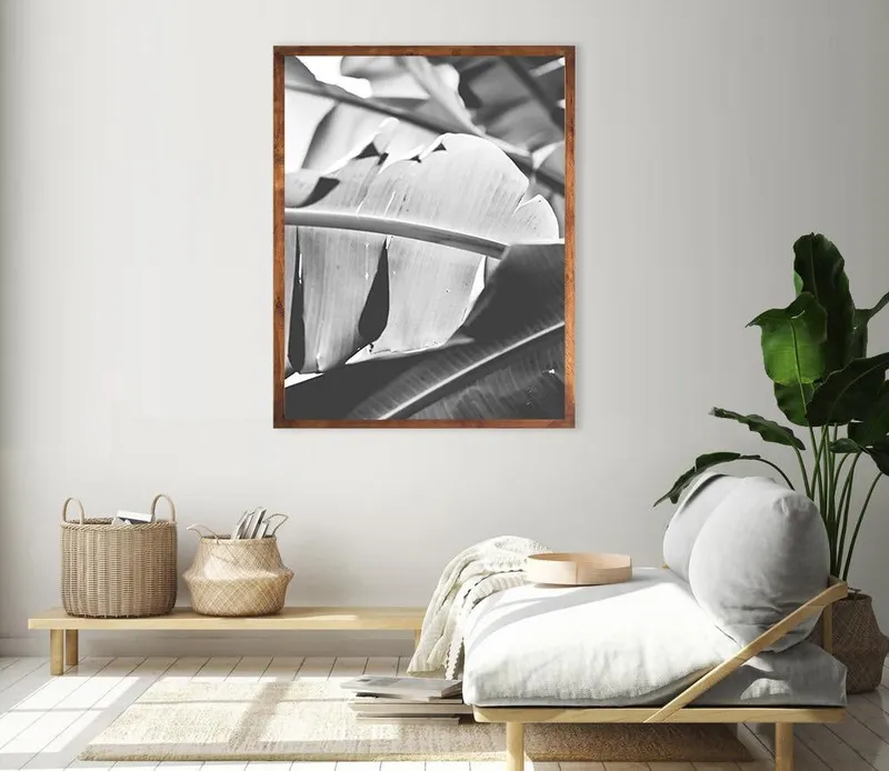 B/w Banana leaf 2 - Image 1