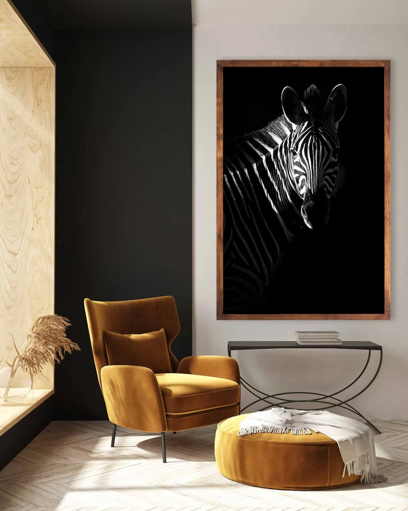 Zebra profile - Image 1