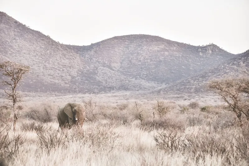 Walk alone - Image 2