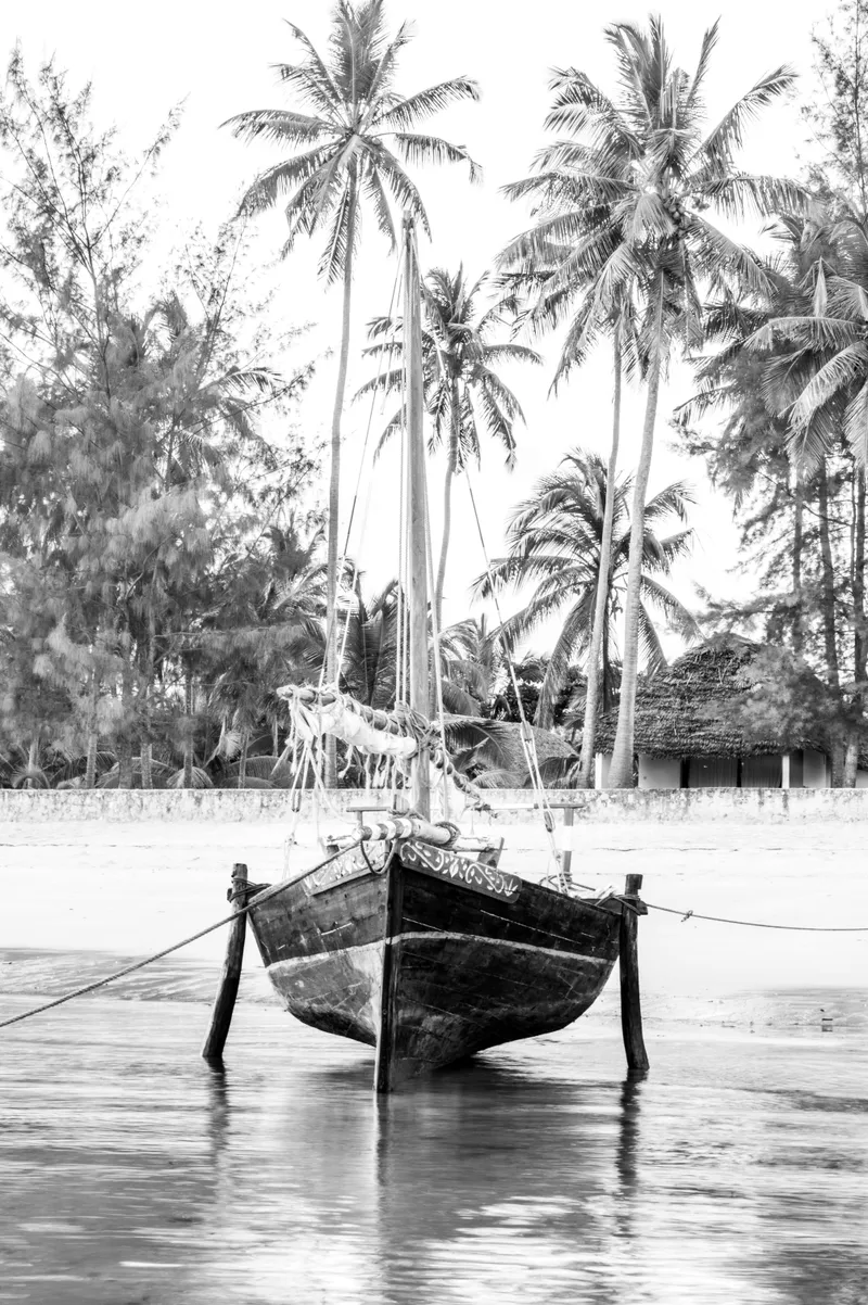 The beach - Image 2