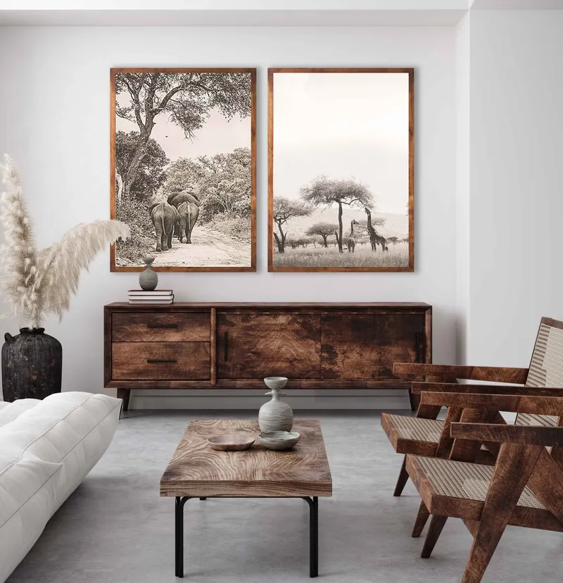 Into the wild set - Image 1