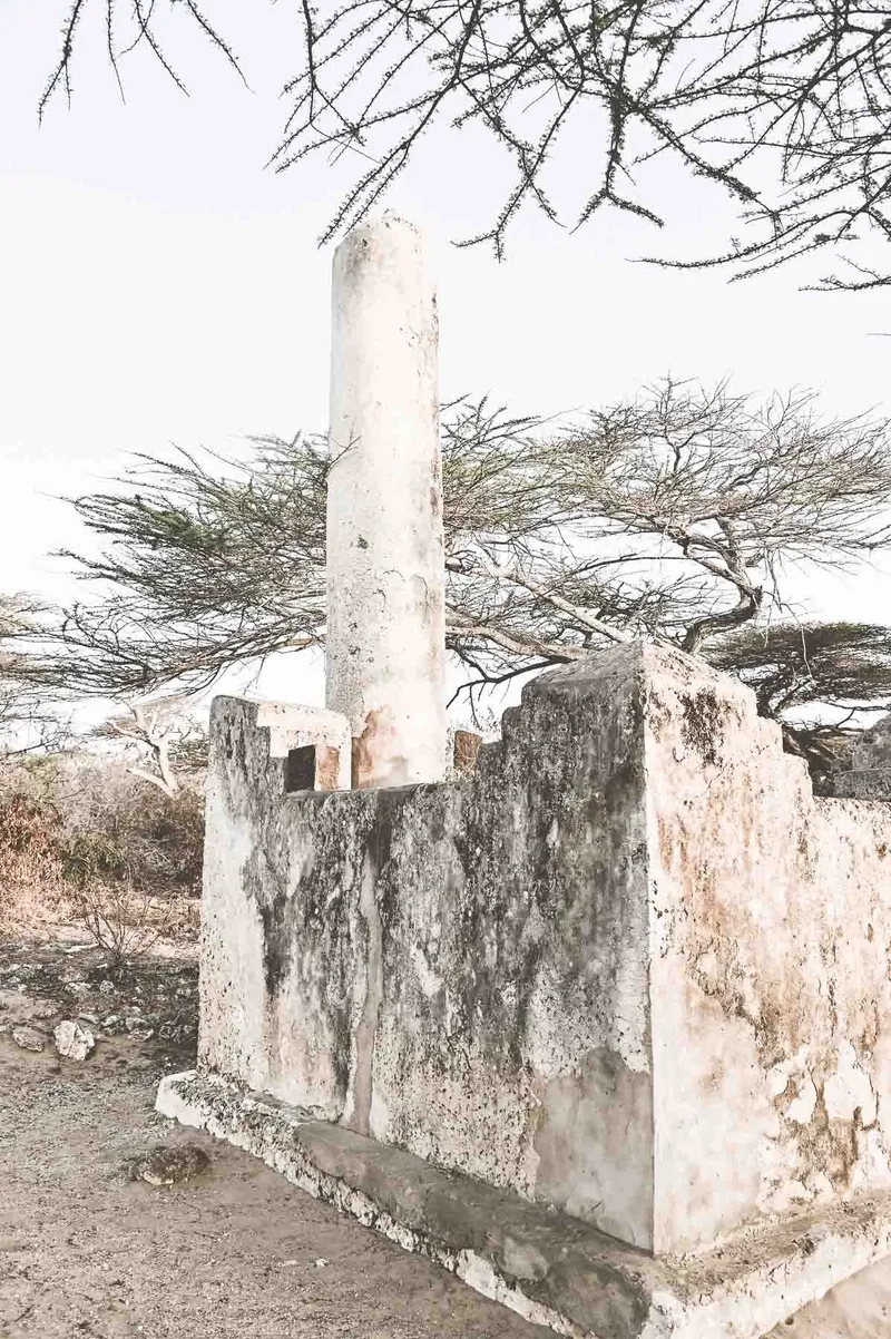 The Sheriff - Image 2