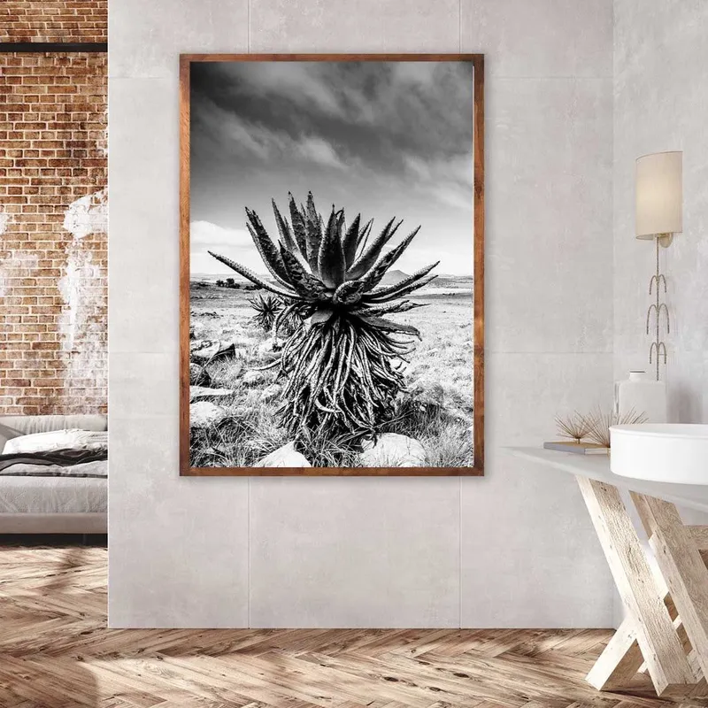 Three tree hill - Image 1