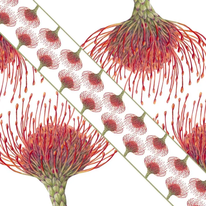 Table Runner - Pincushion - Image 1