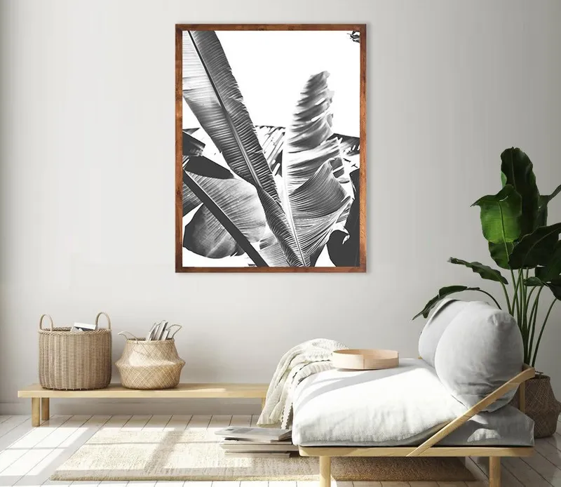 B/w Banana leaf 1 - Image 1