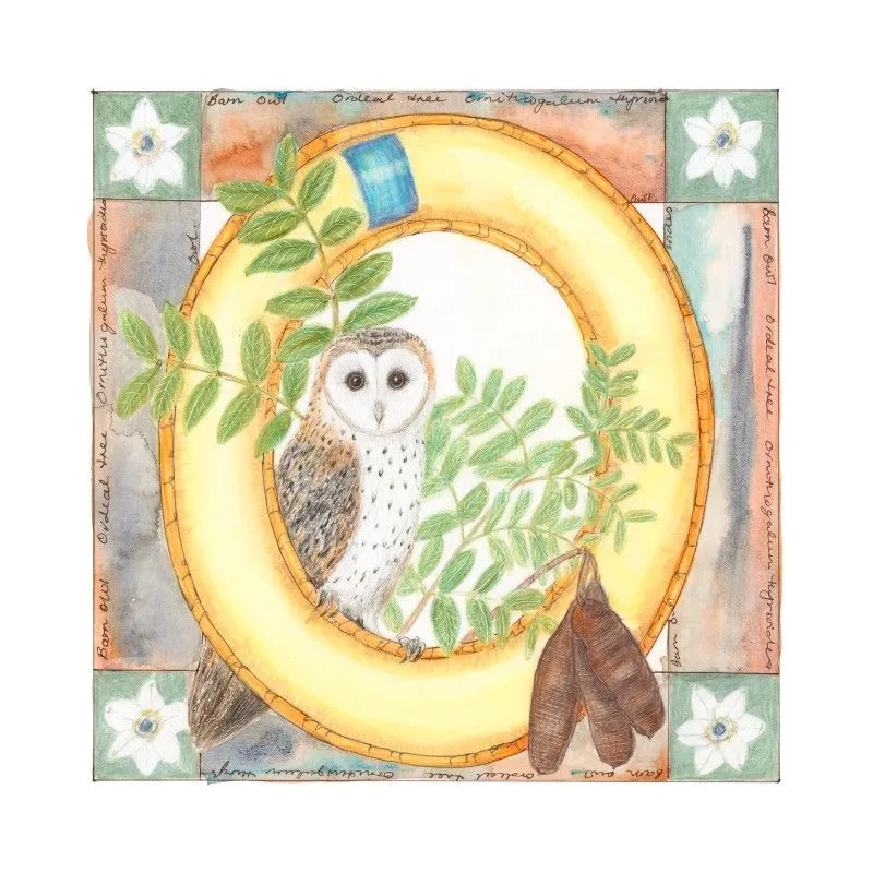 Bush Babies - Individual Letter Print - Image 26