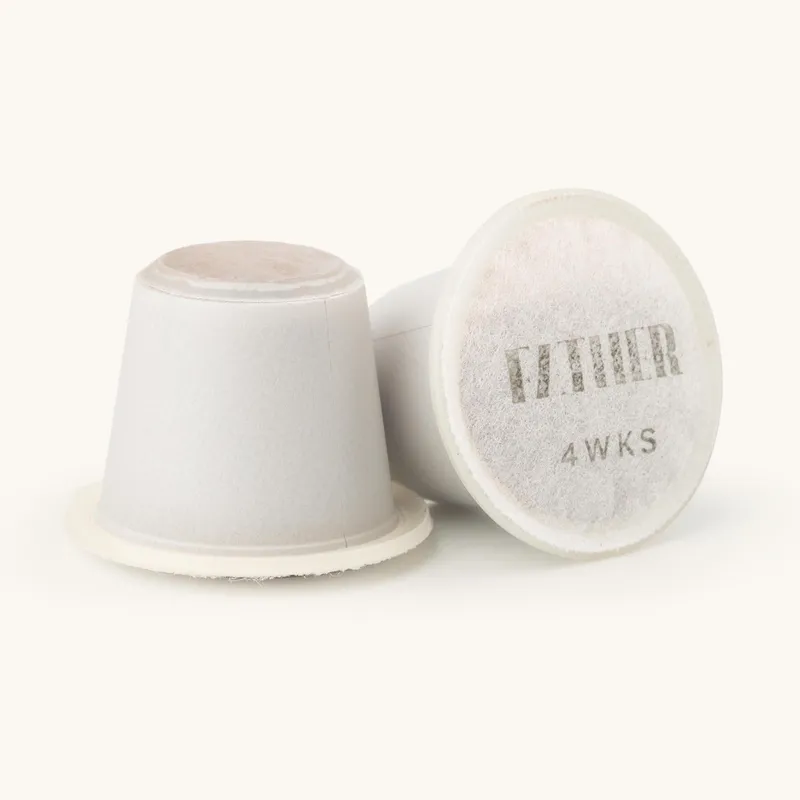 Father Pods (Box of 10) - Image 2