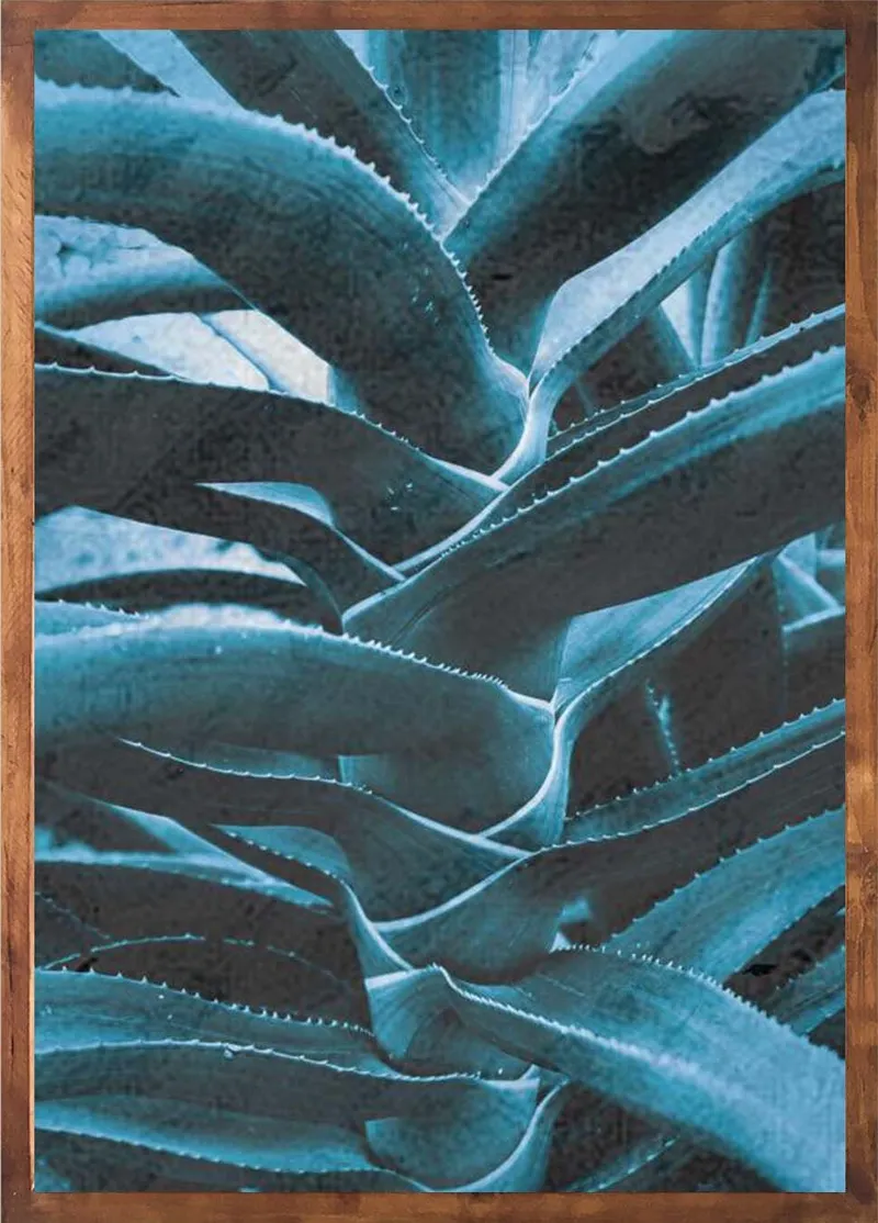 Into the blue set - Image 3