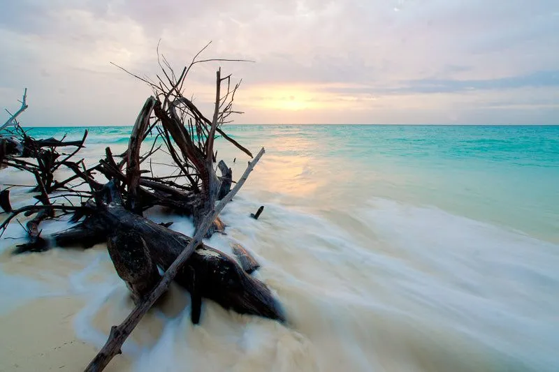 Sun serene - Image 2