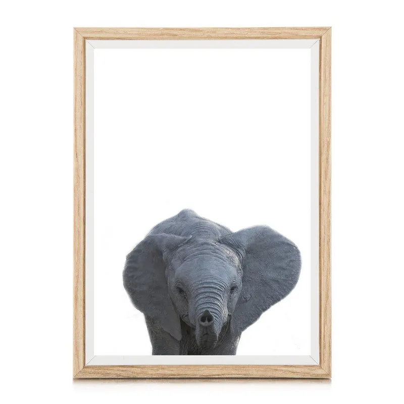 Safari babies | Elijah - Image 3