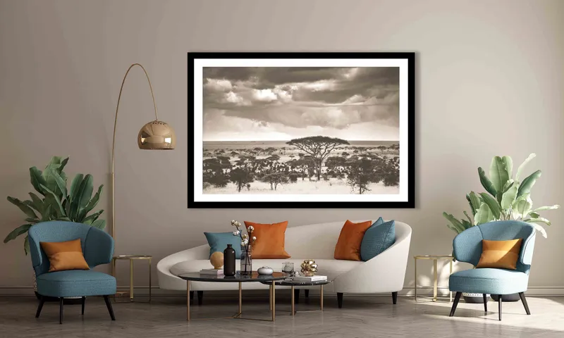 The plains - Image 8