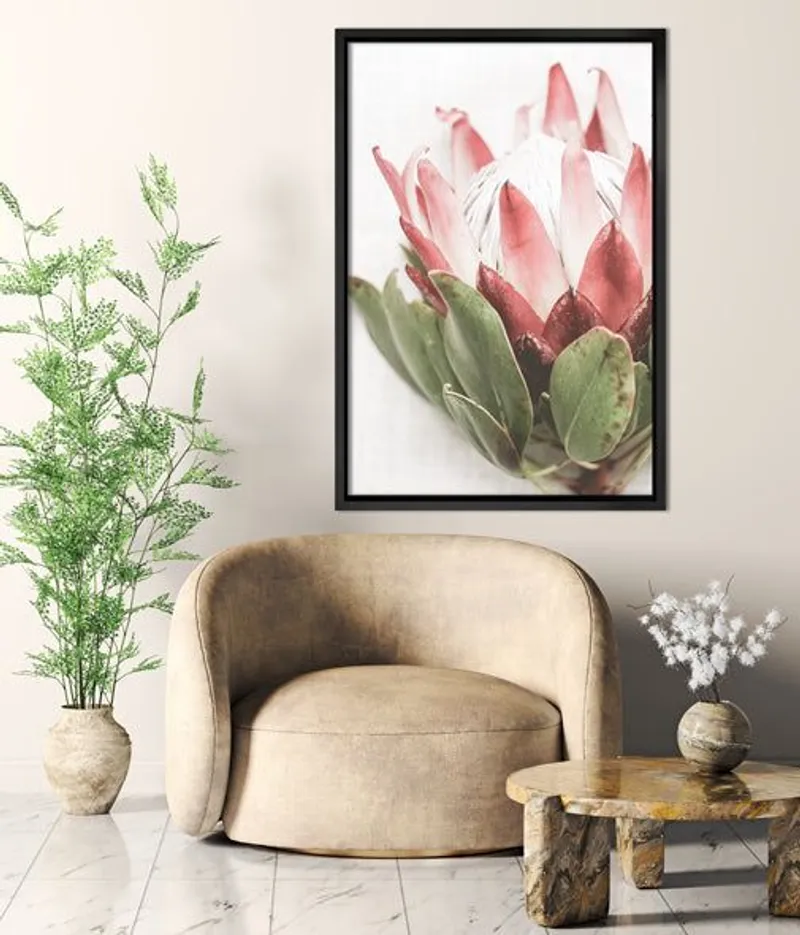 Single Protea - Image 7