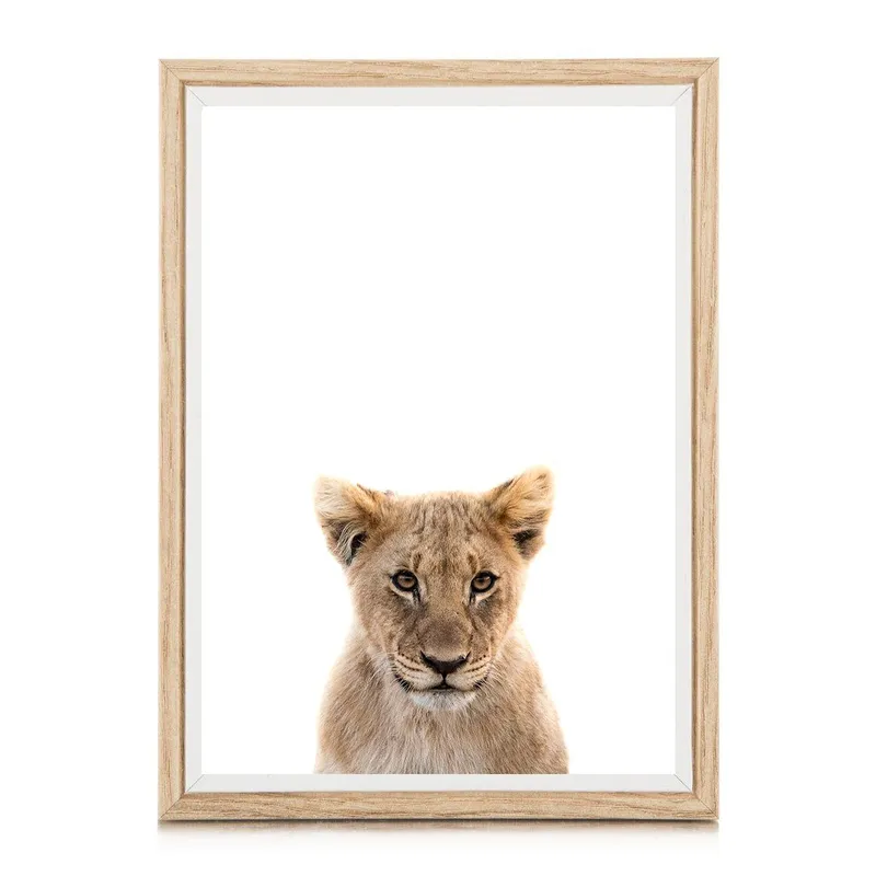 Safari babies | Lex - Image 3