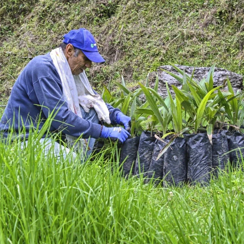 The Adventures of Pili Charity Bracelet - Image 8