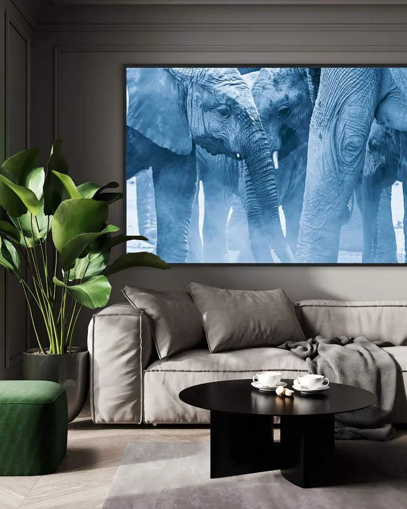 Eye to Eye - Image 1