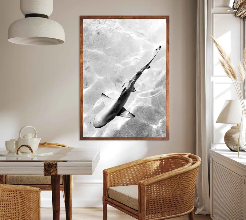 Sharks Tail - Image 1