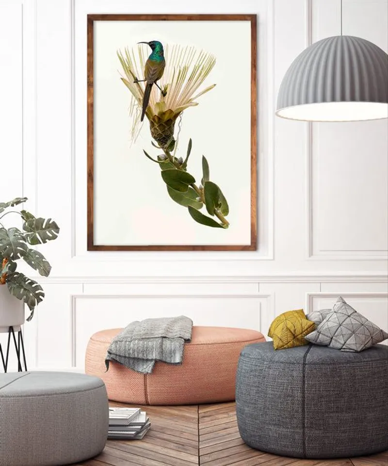 Sunbird - Image 1
