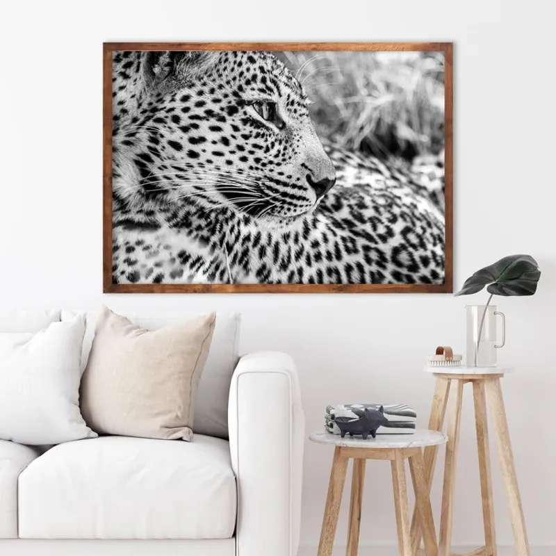 African Soul - Image 1