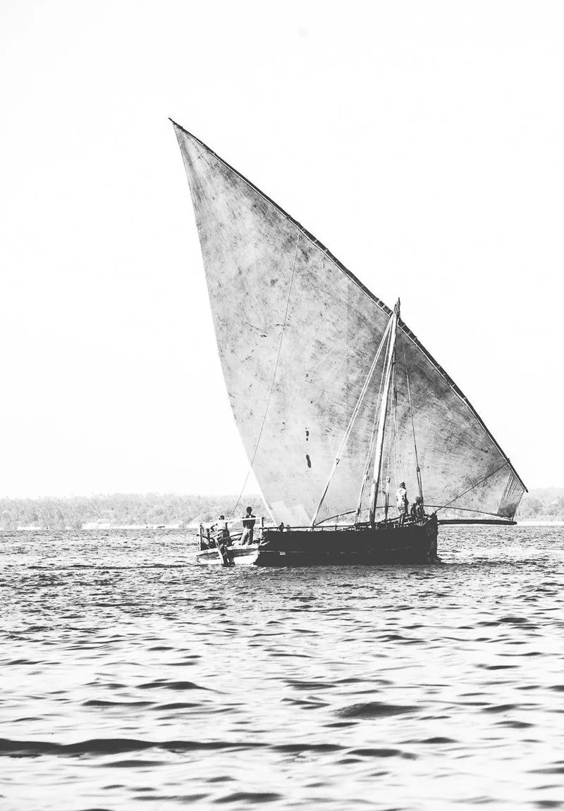 Alliance - Image 2