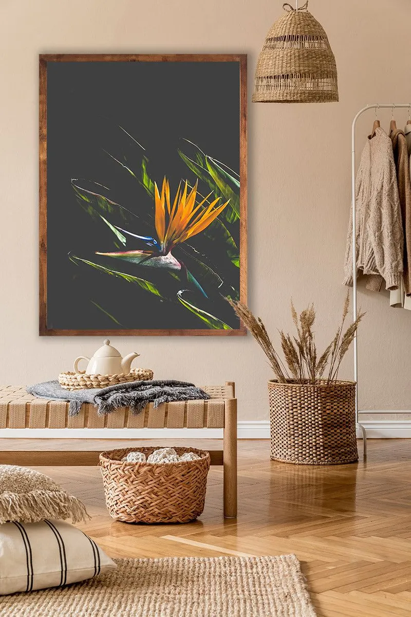 Bird of Paradise - Image 1