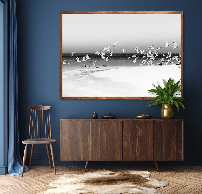 Island nesting - Image 1