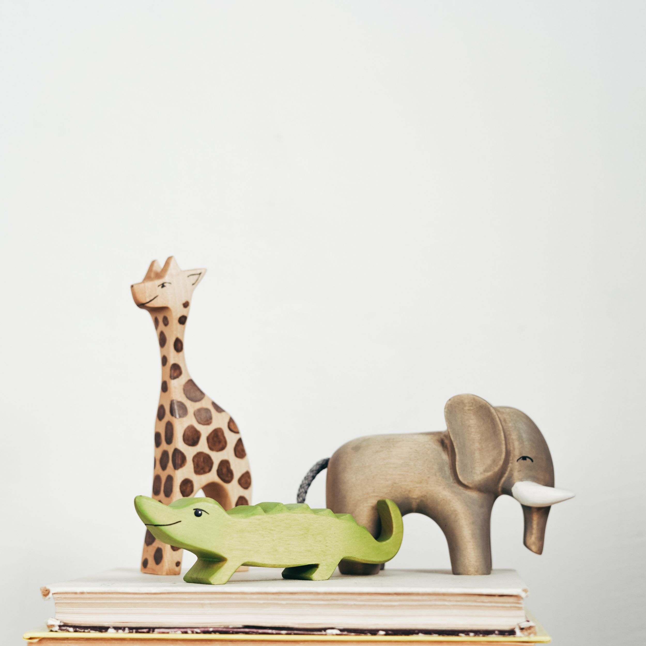 Toys & Games
