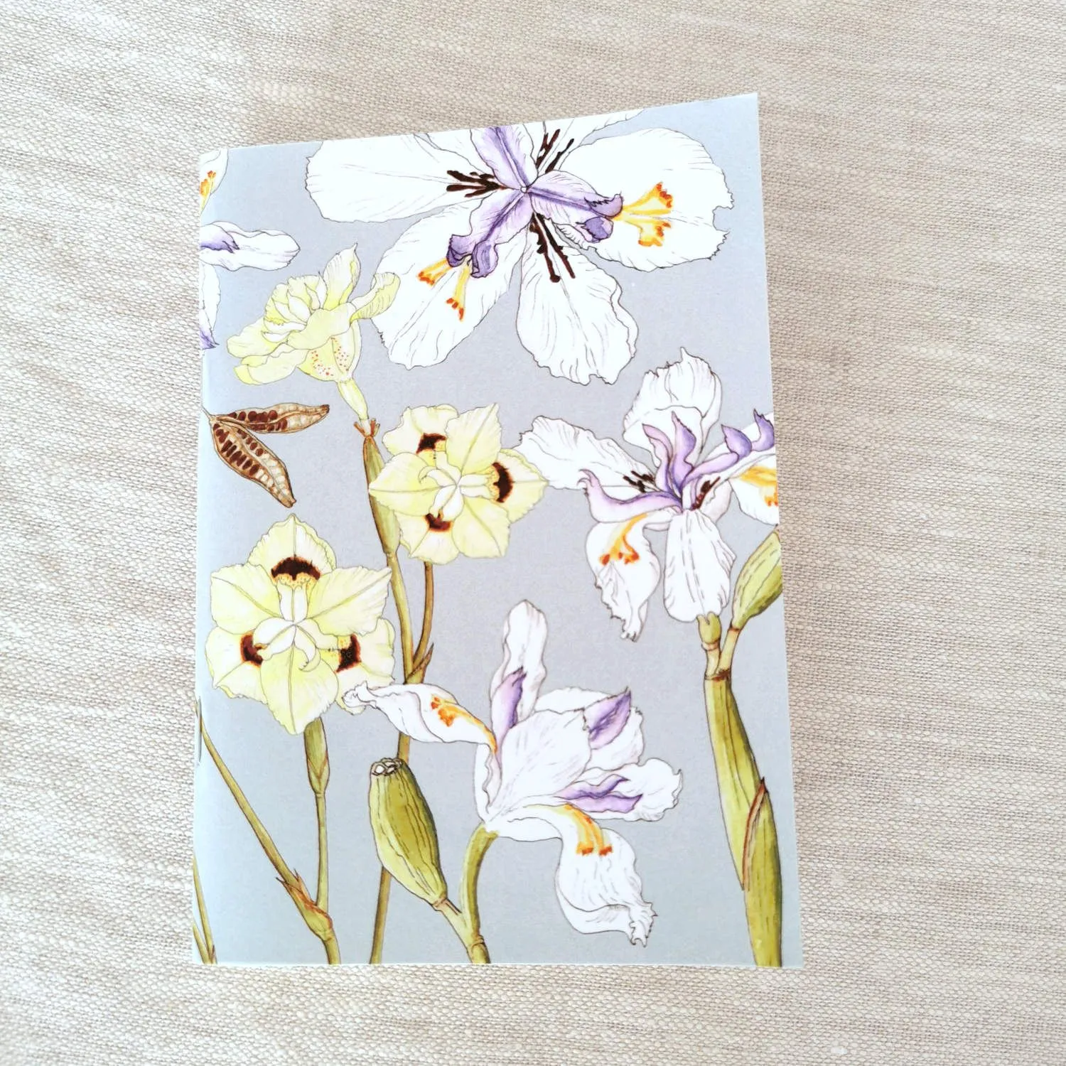 Dietes Iris Notebook