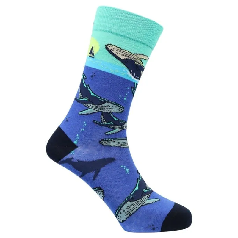 Whale Watching - Image 1