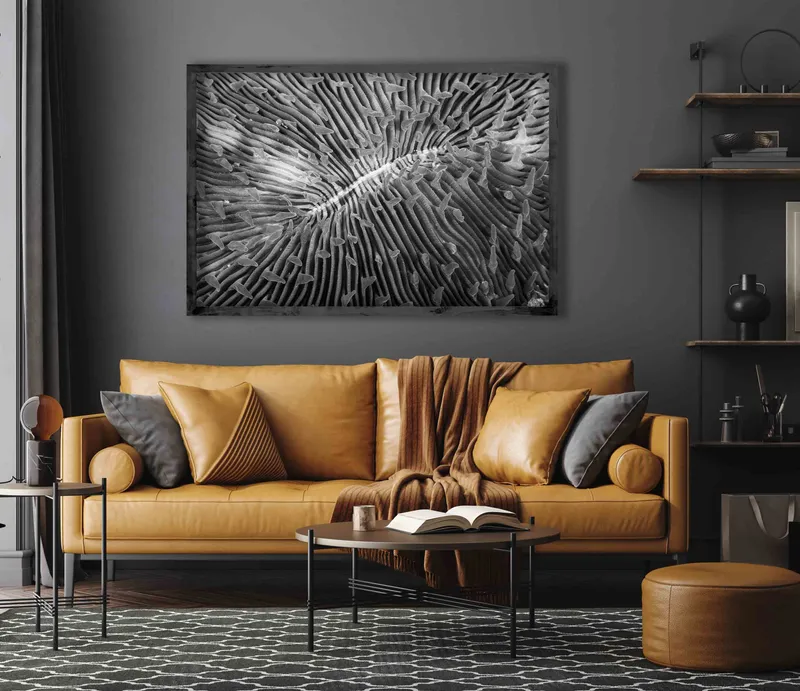 Ebony and Ivory Reef - Image 1