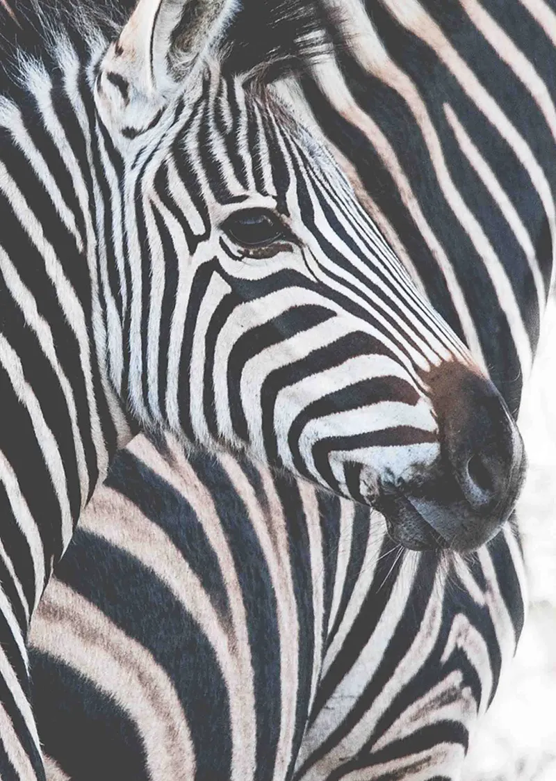 Look ahead - Image 2