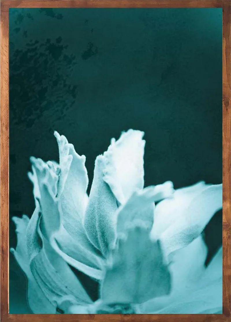 Into the blue set - Image 2