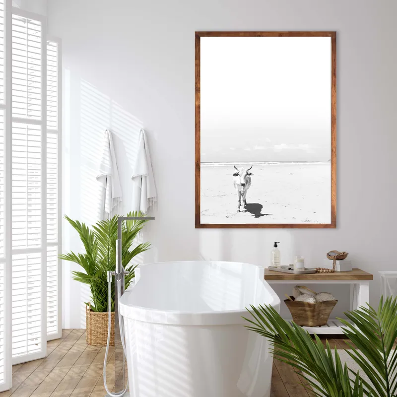 Transkei peace - Image 1